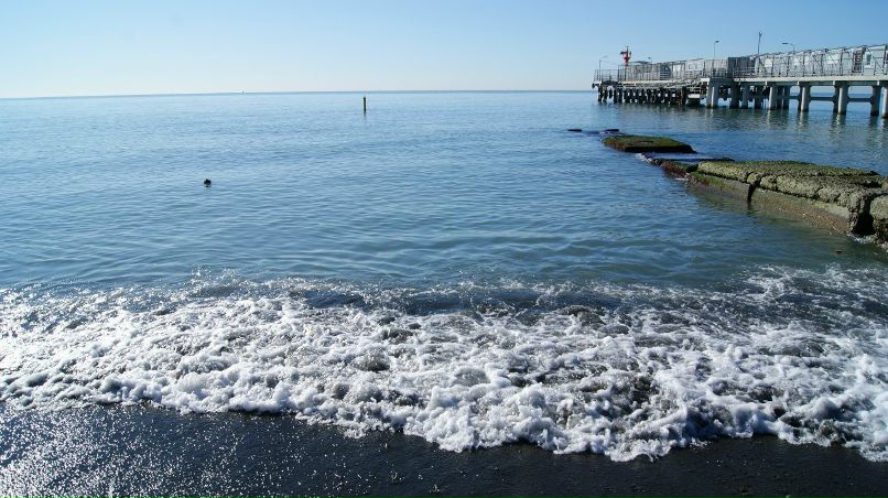 Женя Курилёнок | Loksa