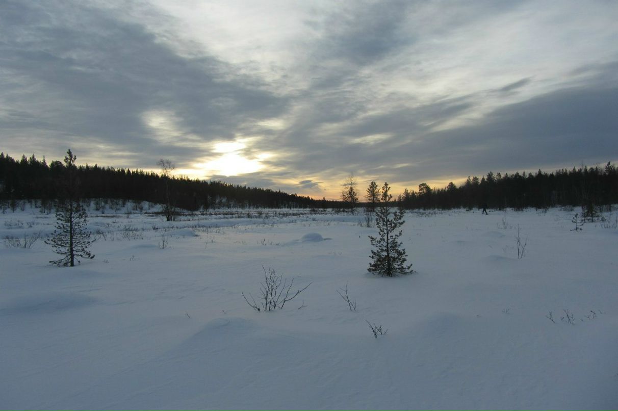 Арсений Петрик | Харьков