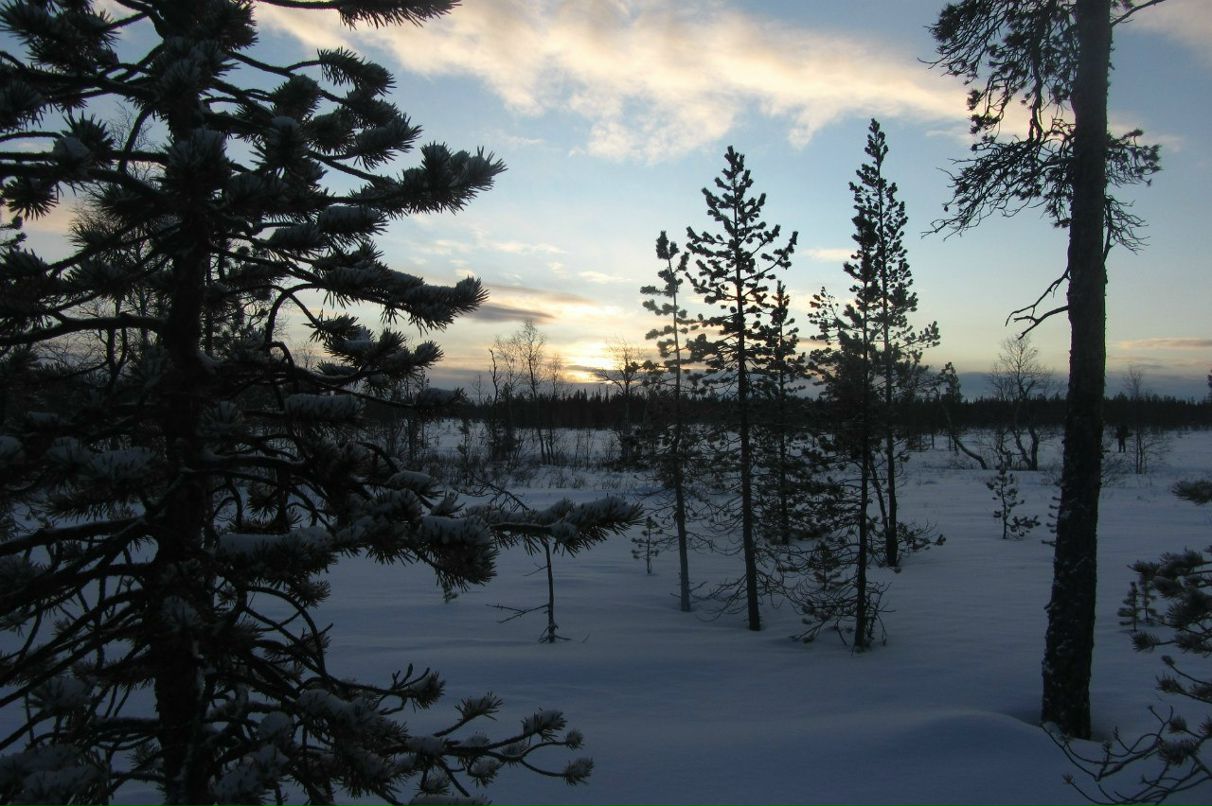Арсений Петрик | Харьков