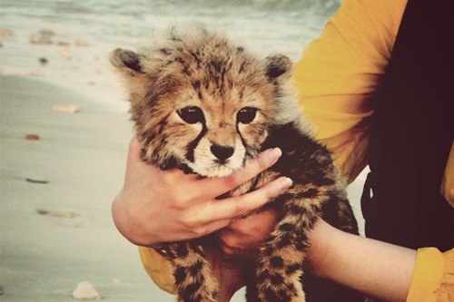 Наташа Хоменко | Киев