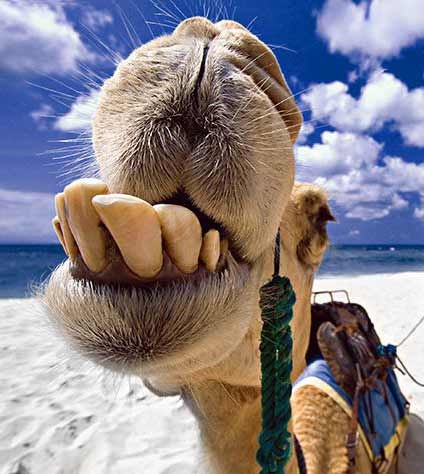 Илья Алексюк | Москва