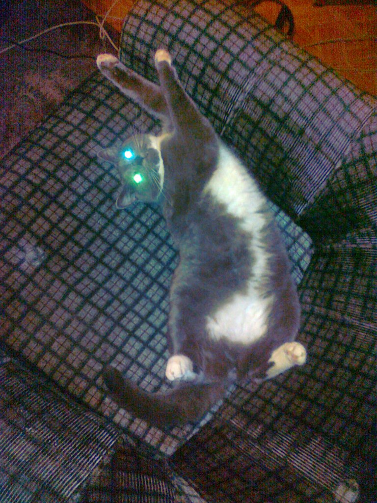 Наталья Сохарева | Екатеринбург