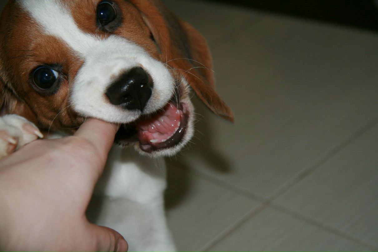 Вероника Урусина | Москва