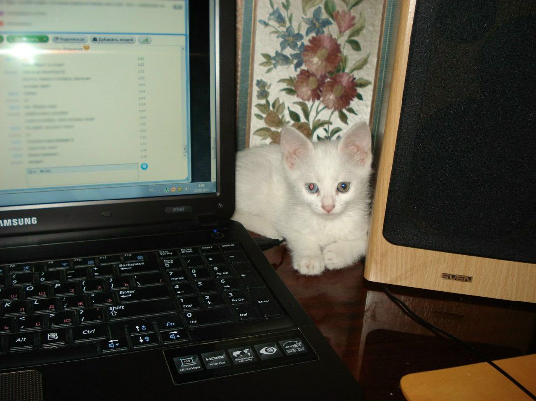 Анжела Фёклина | Дзержинск