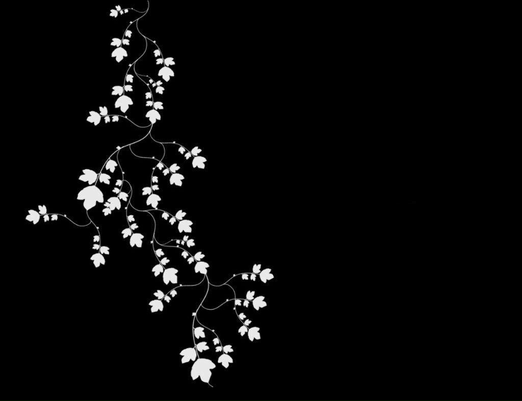 Айя Стефанчук | Одесса