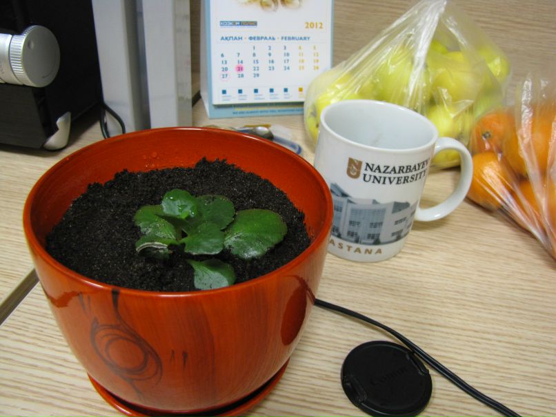 София Юнусова | Астана / Нур-Султан