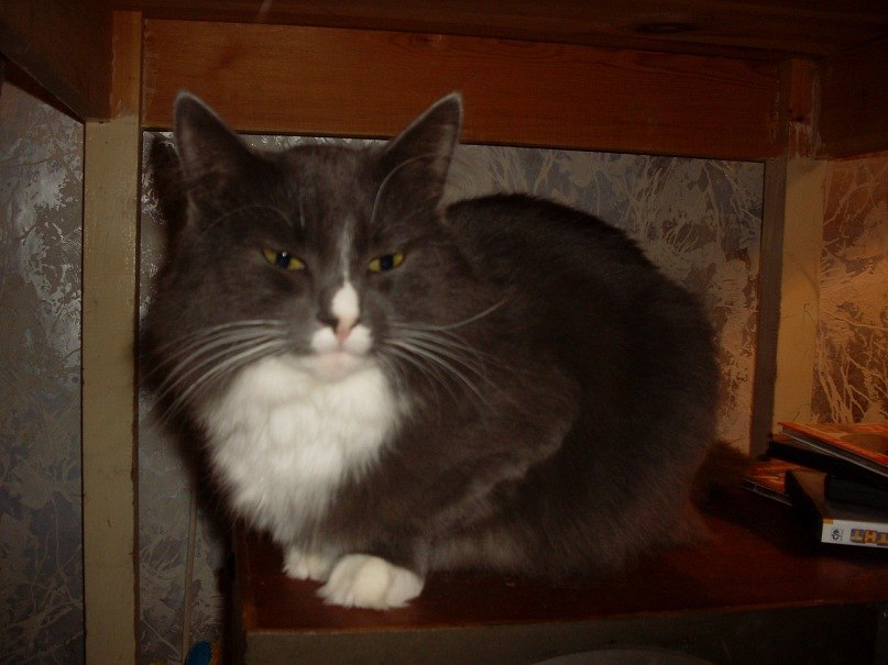 Мария Свиридович | Мончегорск