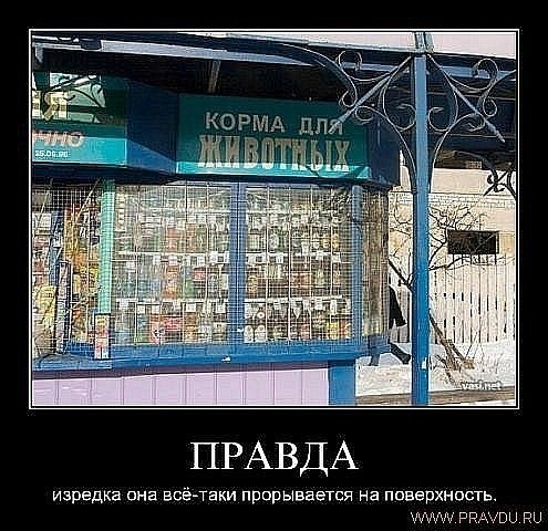 Алексей Душутин <<PATRIOT>> | Инсар