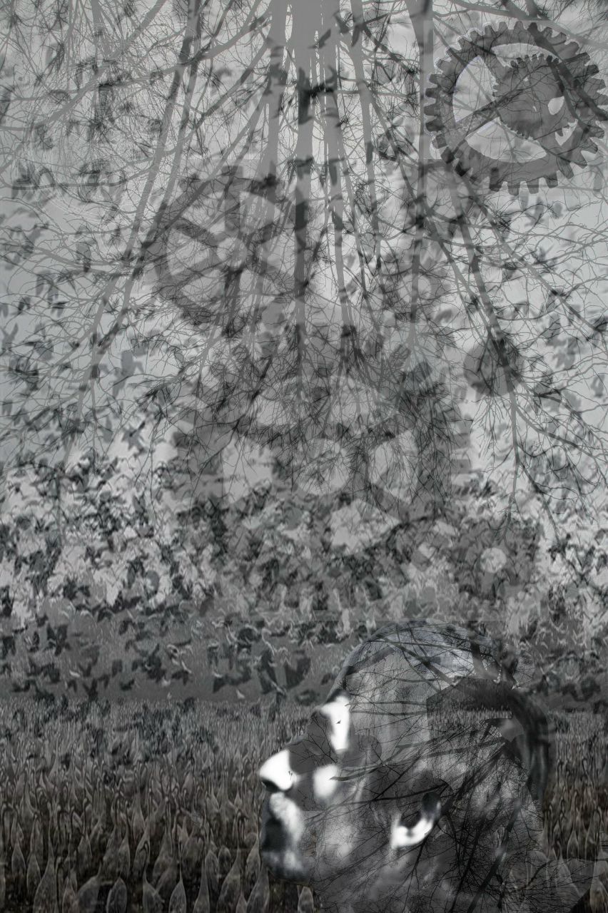 Константин Колыбельский | 