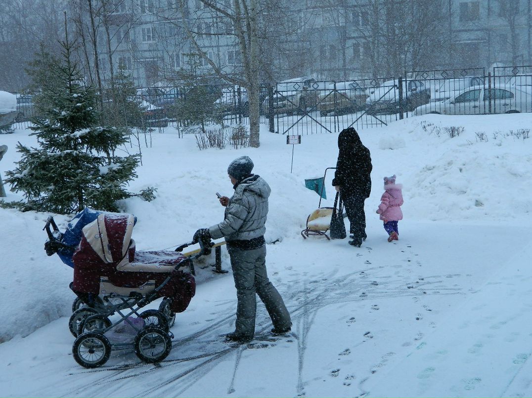 Алиска Додина | 