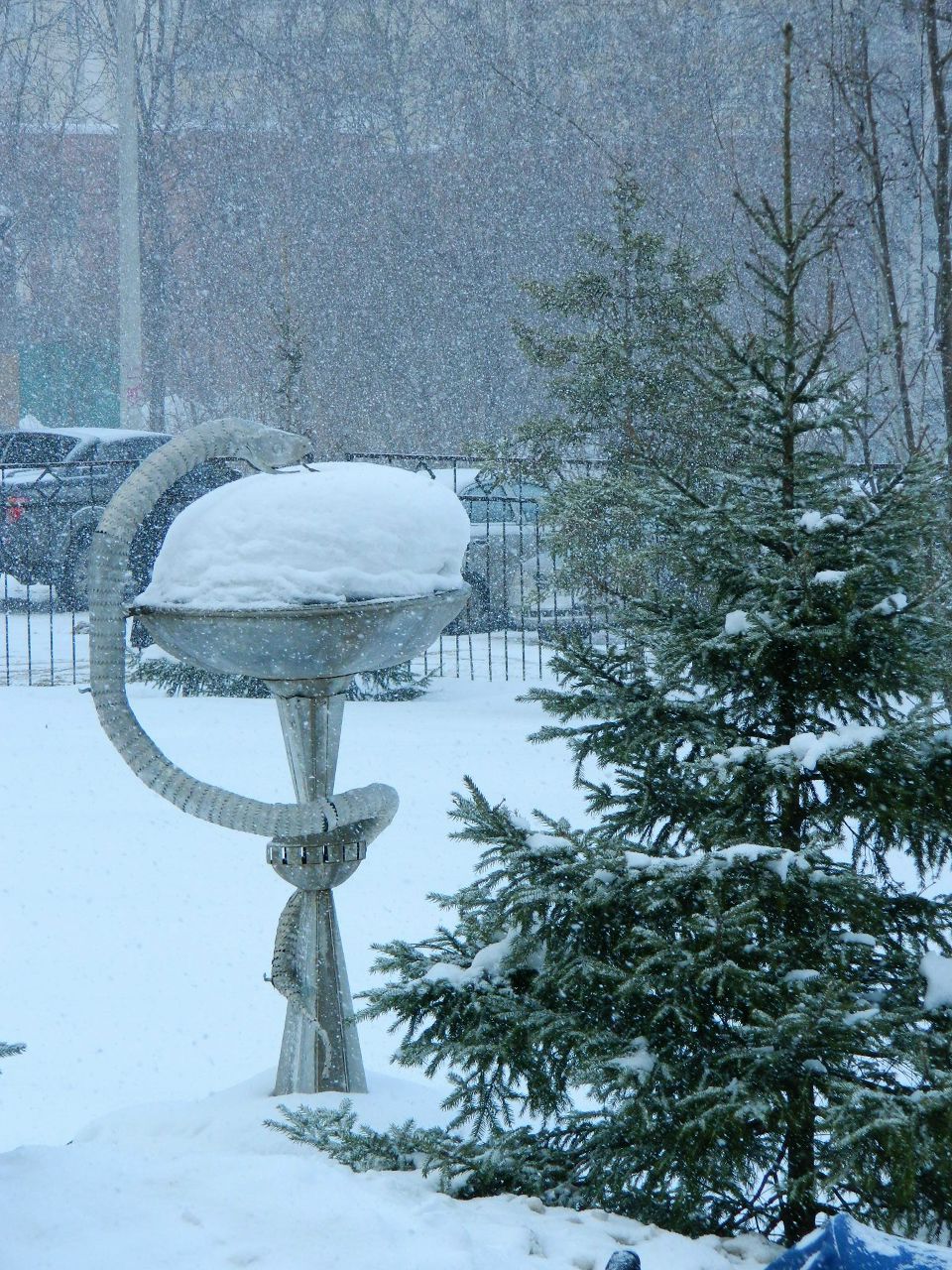 Алиска Додина | 