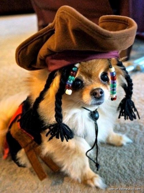 Александр Прохоров | Никольское