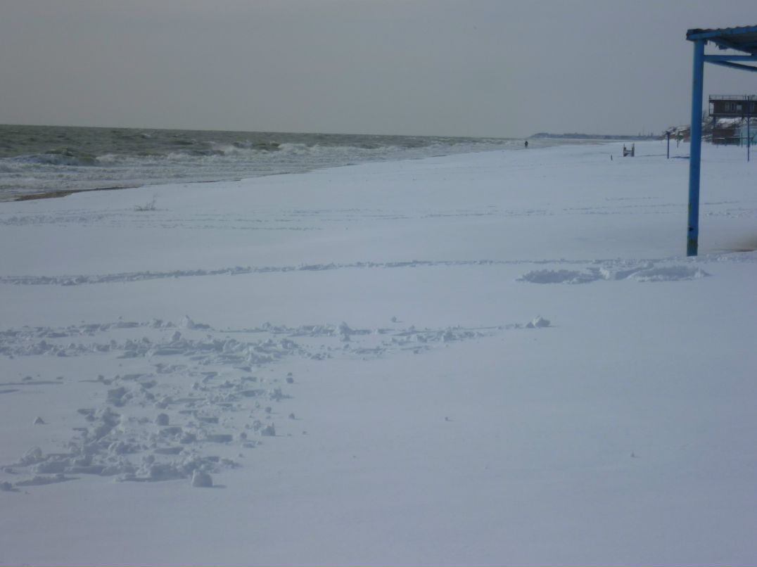 Димон Джаловский ~работаю~ | Кирилловка