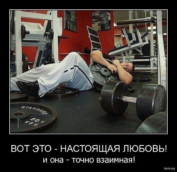 Александр Мятый Пятый | 