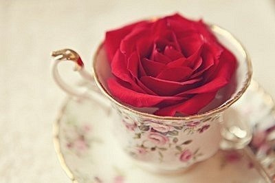 Марина Гутшабес | Самара