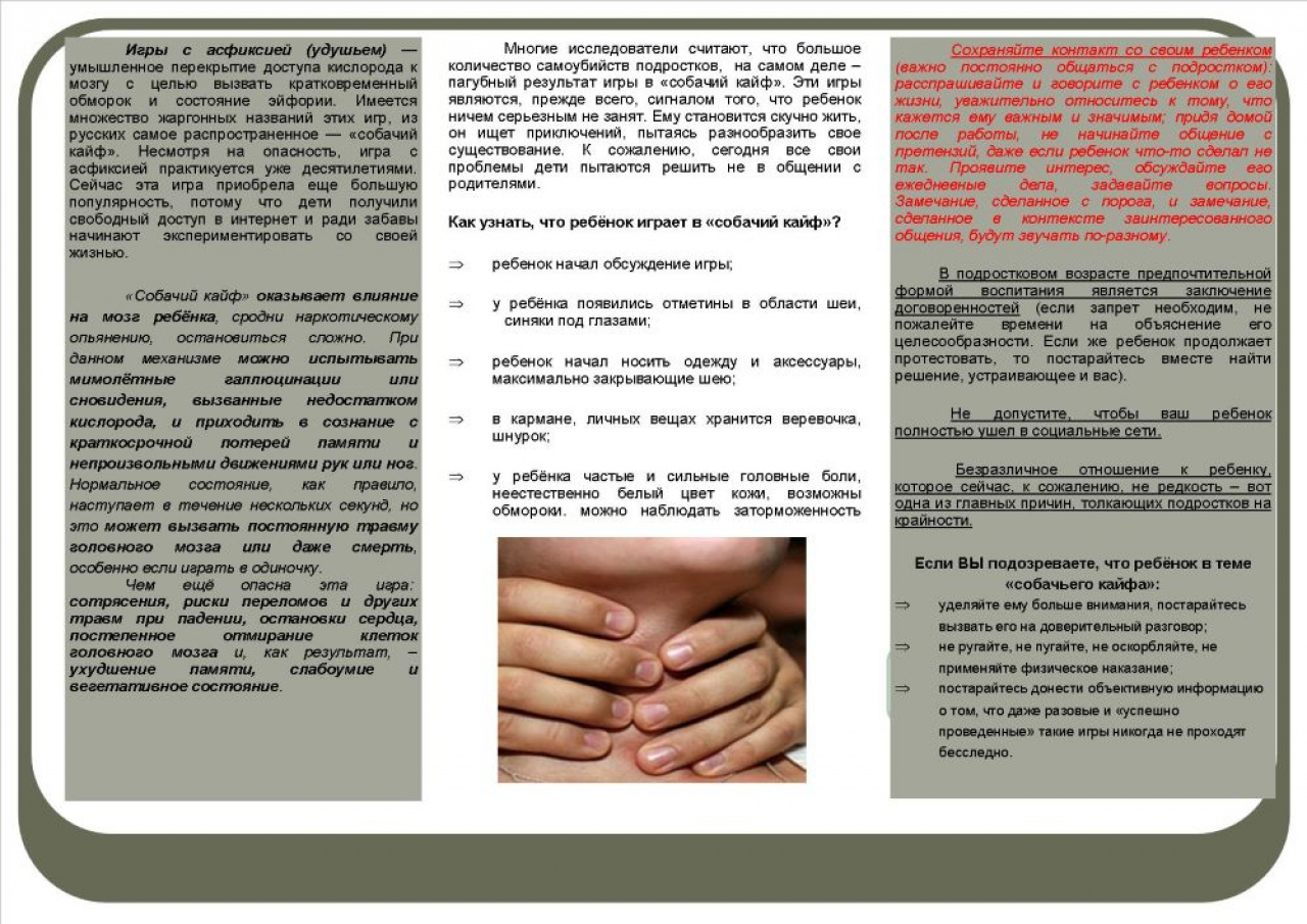 Как сделать собачий кайф