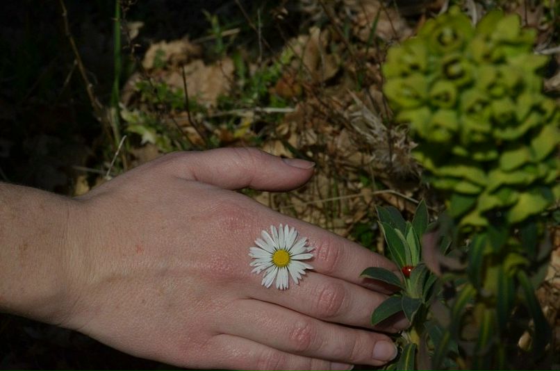 Таня Кудрявцева | Catania