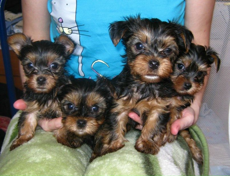 Алина Тухватуллина ♥ alisha ♥ | Салават