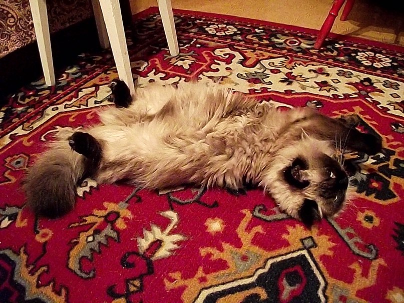 Monro M. | Челябинск