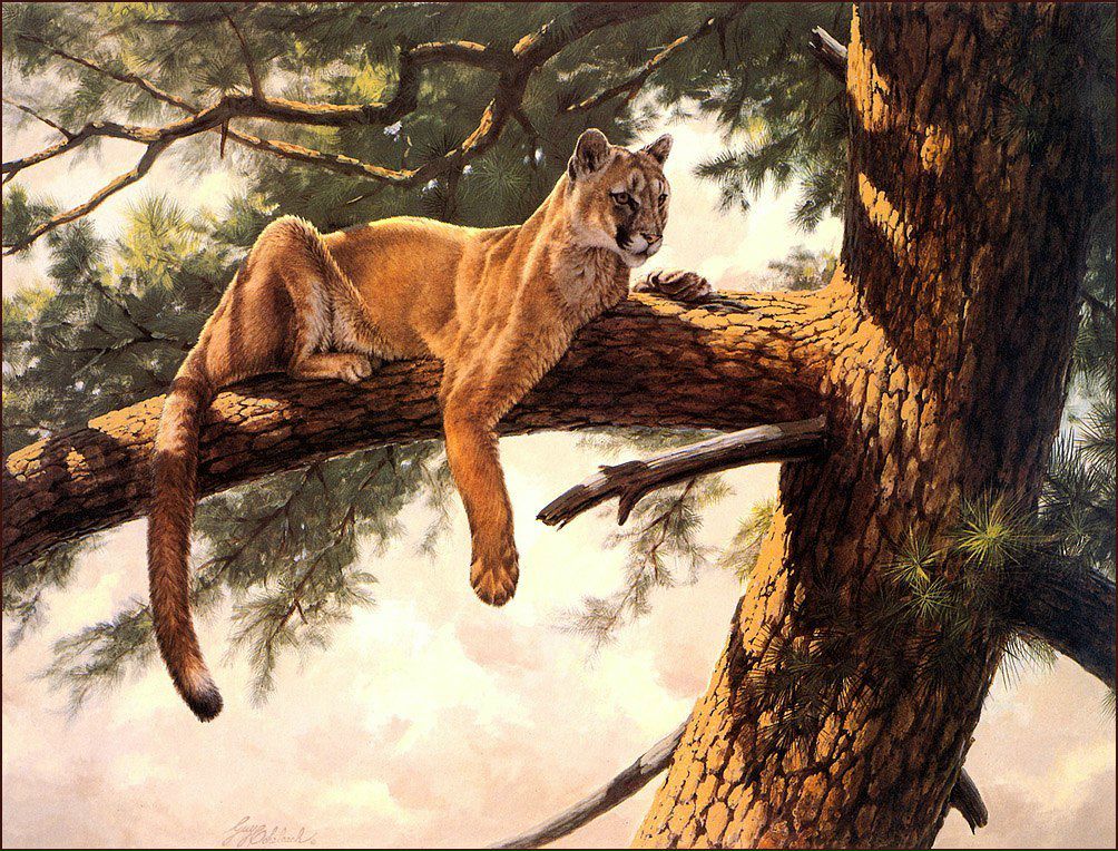 Женя Вишневская | Санкт-Петербург