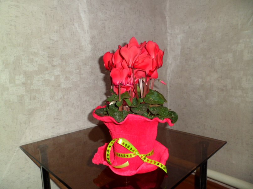 Надежда Козлова Николаевна | Сокол