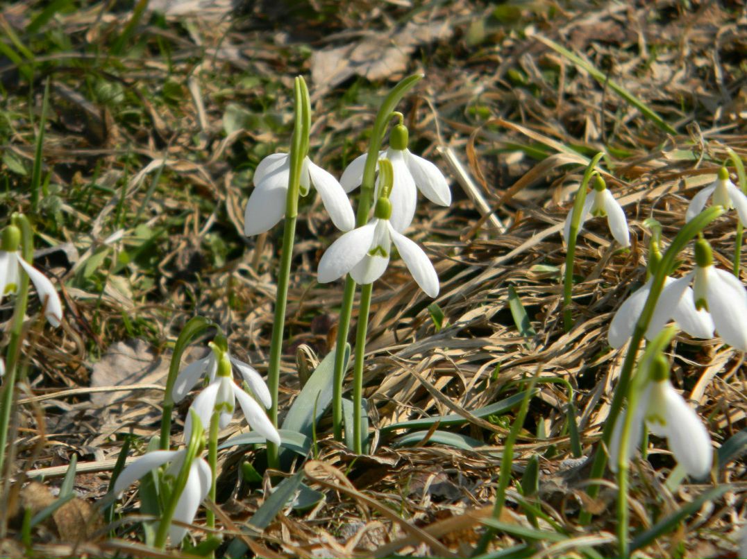 Ірина Гірка | Киев