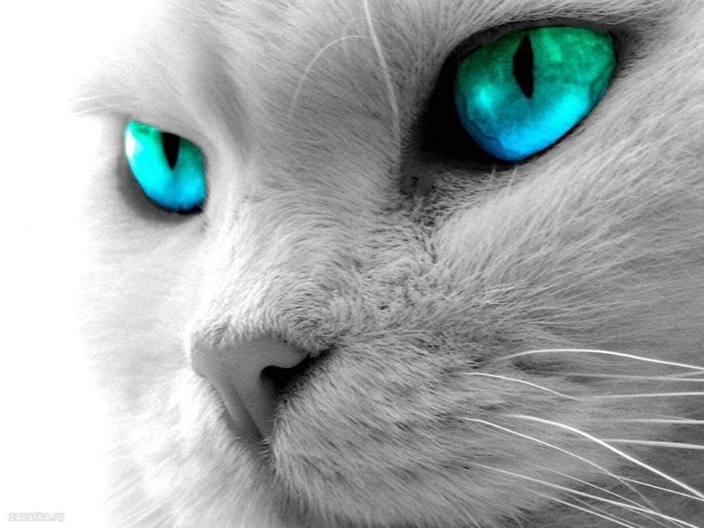 Алёна Курта | Ялта