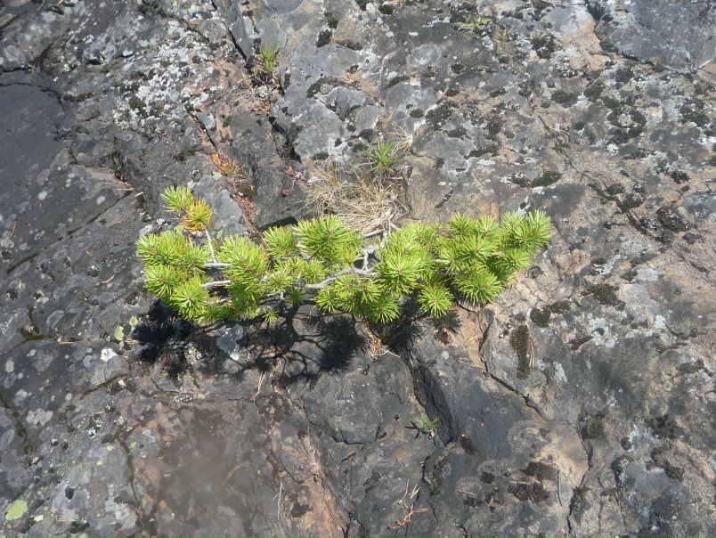 №14, Ольга Шаромова, Санкт-Петербург №14, Ольга Шаромова, Санкт-Петербург