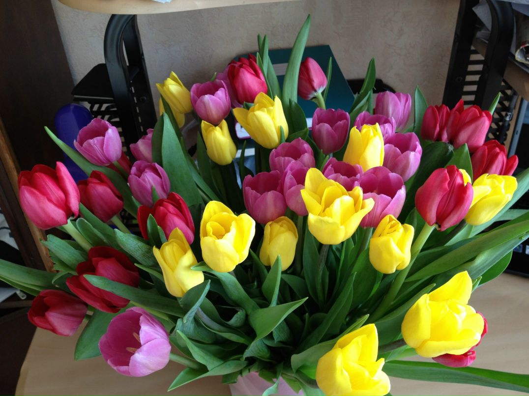 Гульнара Калимулина | Москва