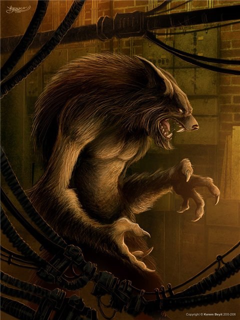 Евгений Майданович | Киев