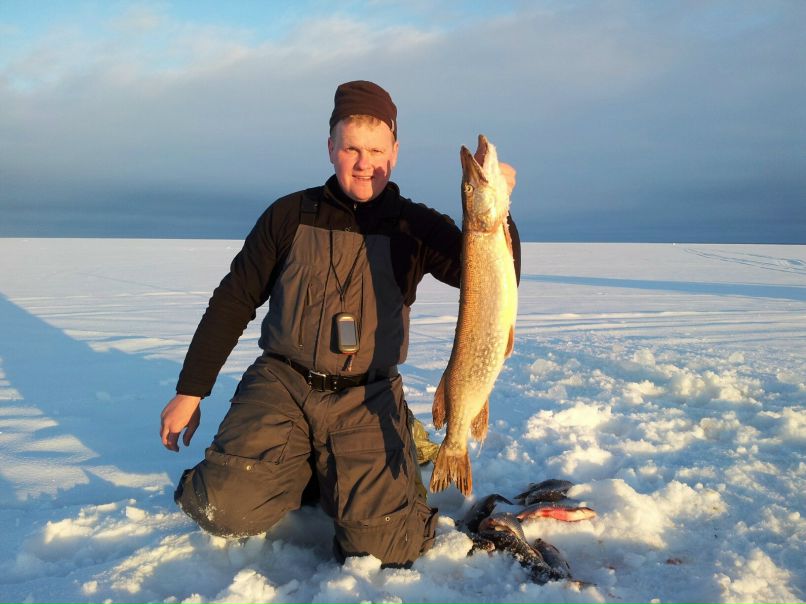 Александр Прохоров Владимирович | Вологда