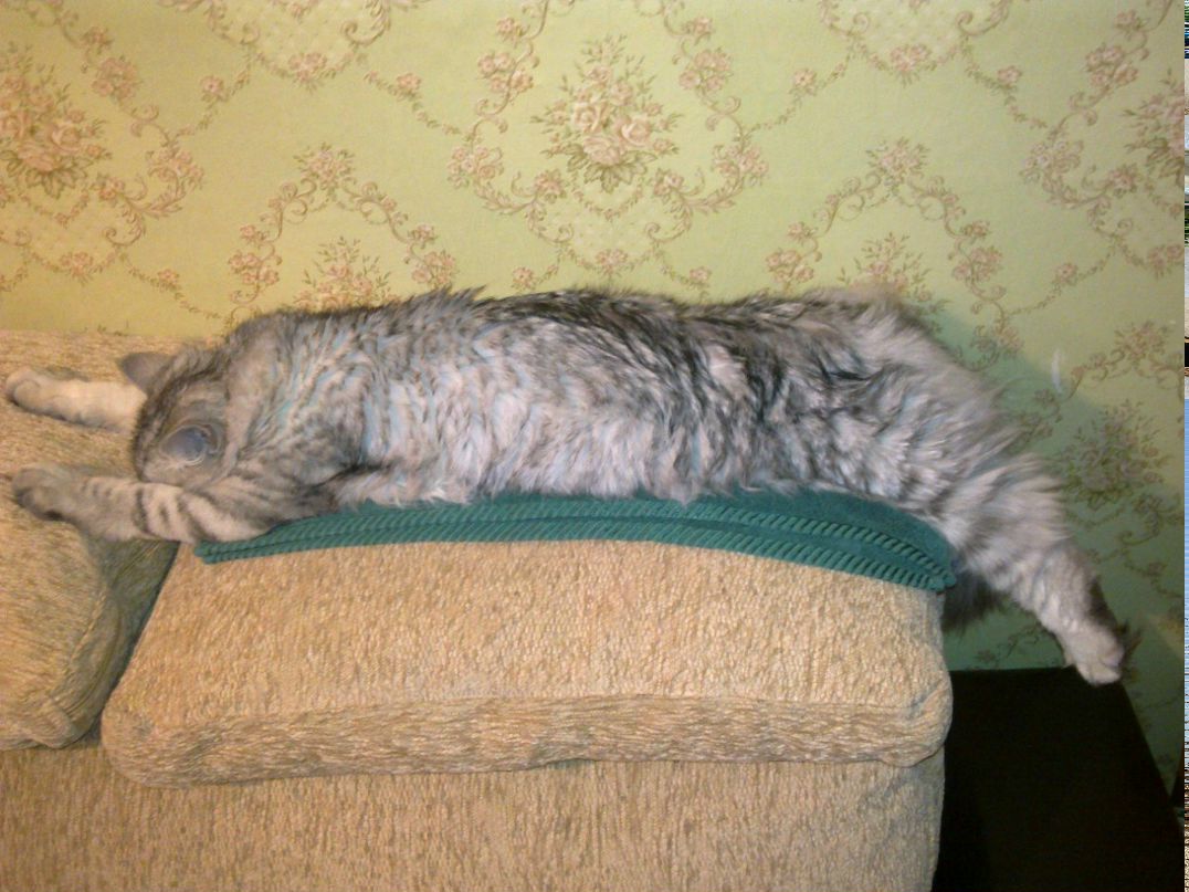 Алёнка Белая | Минск