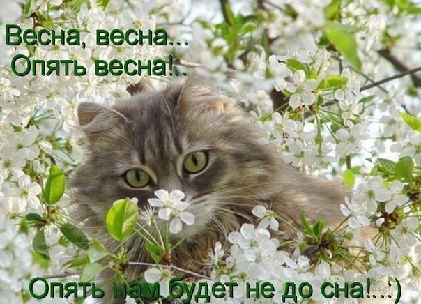 №4, Анастасия Бородина №4, Анастасия Бородина