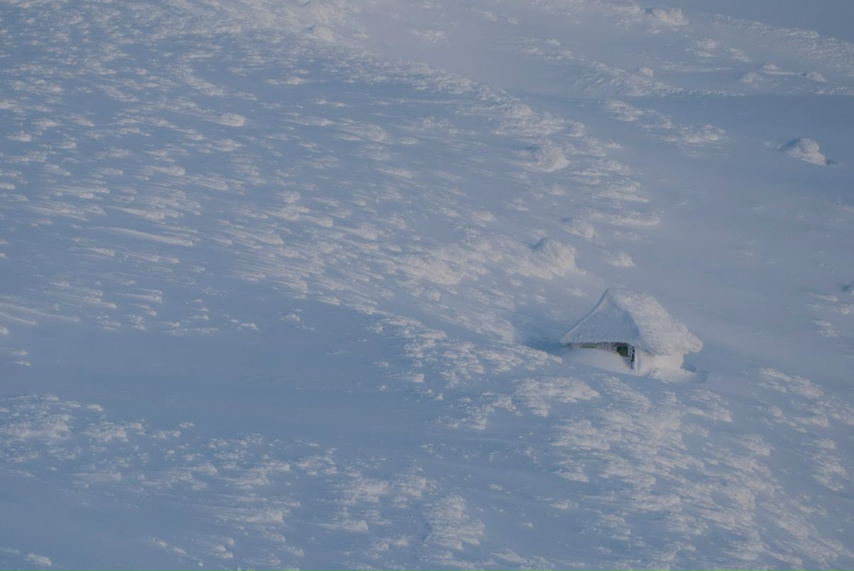 Юлія Вронська | Киев