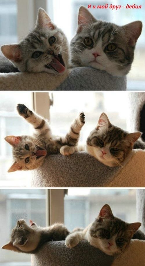 Максим Лариков | Житомир