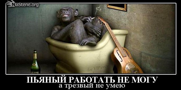 Сергей Яловенко | Lauenförde