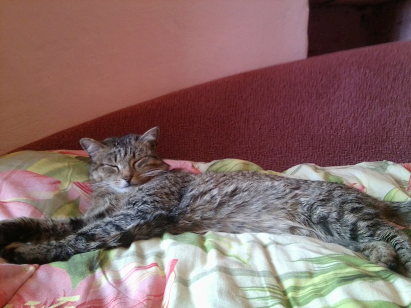 Полина Обухова | Ижевск