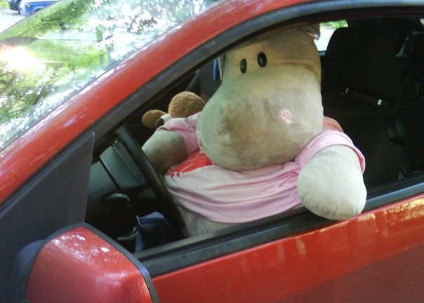 Иван Нечаев | Санкт-Петербург