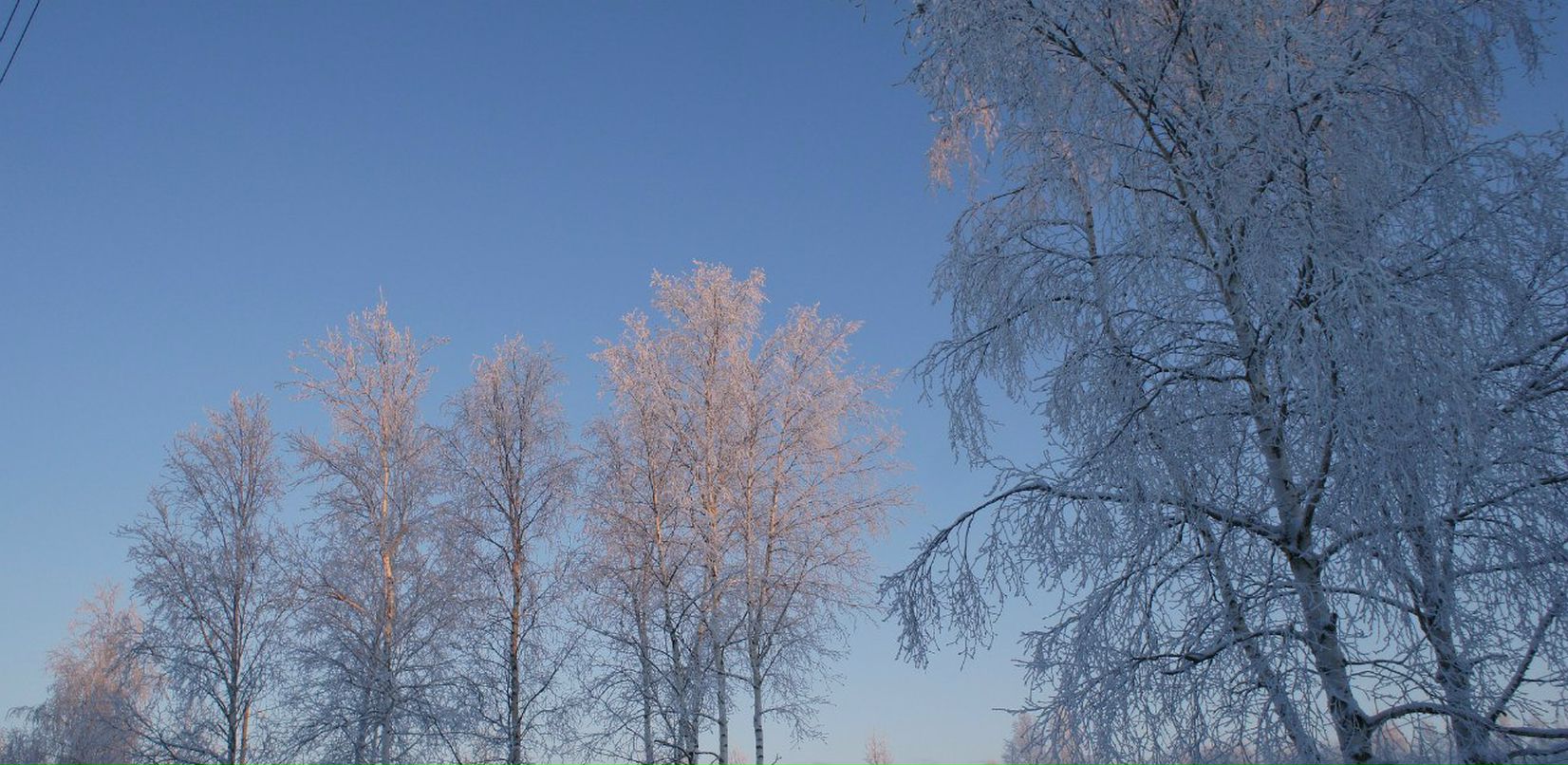 Радик Рафиков | Сургут