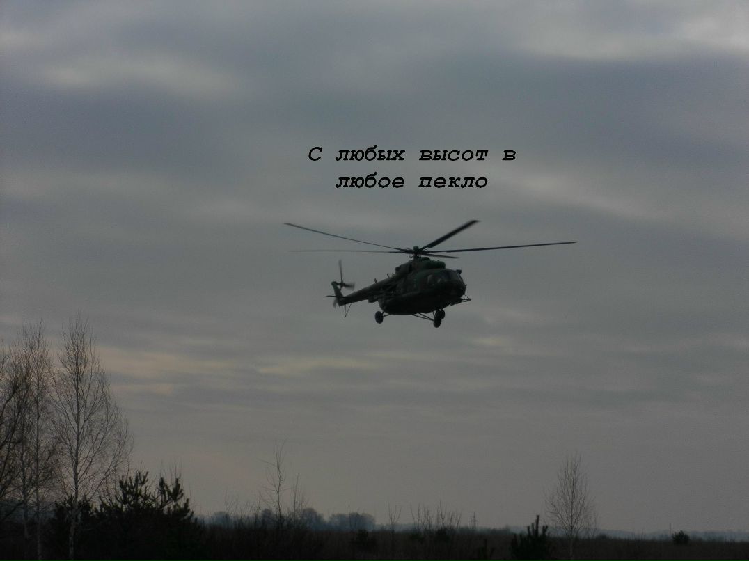 Алексей-Tartal Струков | 