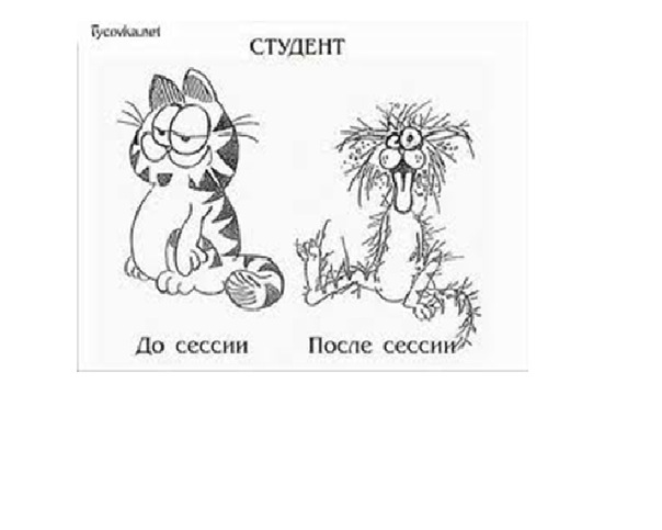 №12, Игорь Бородий №12, Игорь Бородий