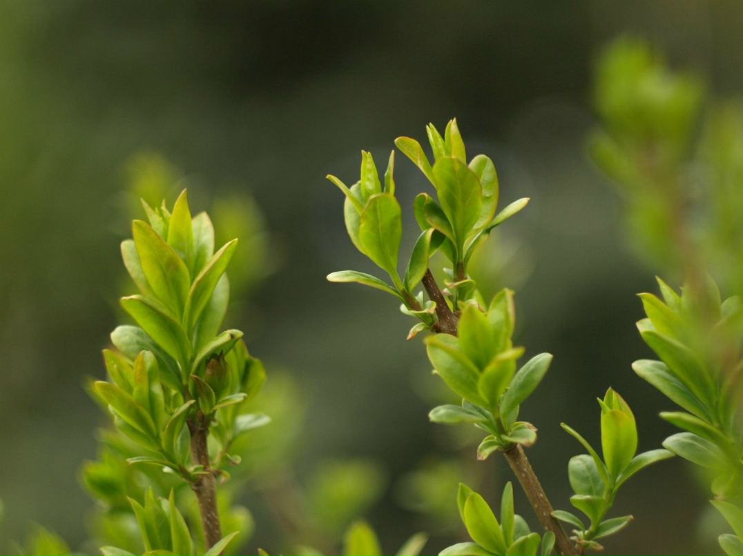 Jorj Dyachek | Одесса