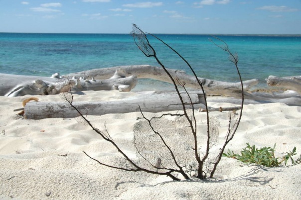 №135, Юлия Смирнова, Петрозаводск №135, Юлия Смирнова, Петрозаводск