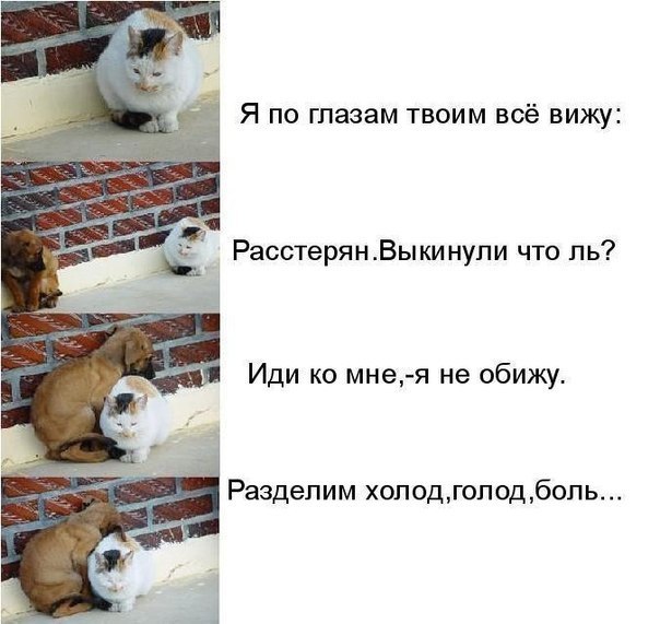Катерина Коваль ▼ | Харьков