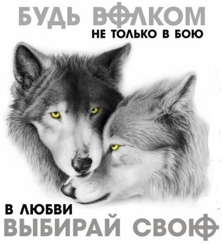 №146, Евгений Сорокин, 08.12.1990, Городище №146, Евгений Сорокин, 08.12.1990, Городище