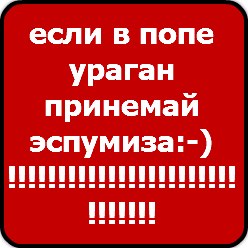Владимир Гнатенко | Запорожье