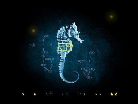 Александр Скузь | Вишневое