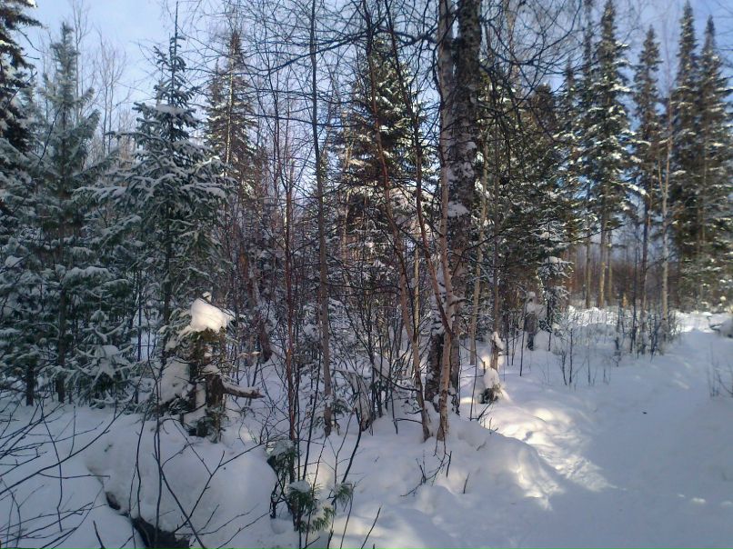 Светлана Ханипова | Шугурово