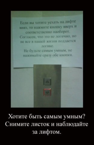 №43, Дмитрий Панасюк, 26 лет, Тольятти №43, Дмитрий Панасюк, 26 лет, Тольятти