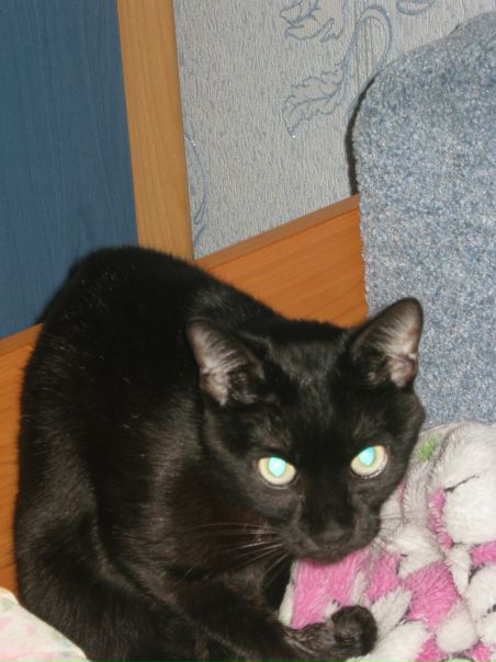 №12, Анита Каминская №12, Анита Каминская